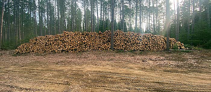 logs on landing